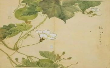 氓读后感100字参考8篇