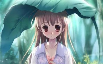 我的漫画作文500字优秀7篇