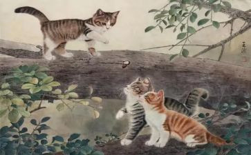 他和她的猫的读后感8篇