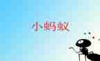 蚂蚁分豆教案5篇