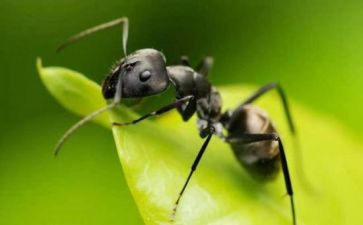 个人企业工作总结范文优秀8篇