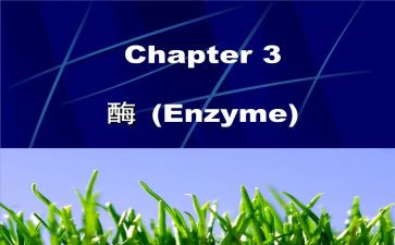 2022工作评优个人总结7篇