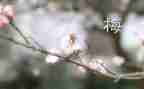 窦桂梅老师的课读后感7篇