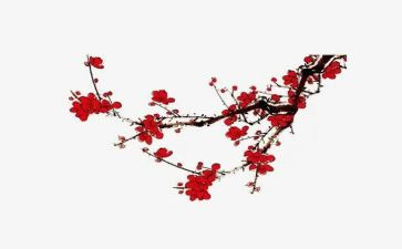 梅花桩大班教案6篇