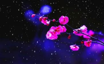 梅花的作文400字5篇