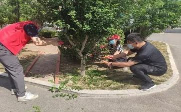 专科护士工作总结6篇