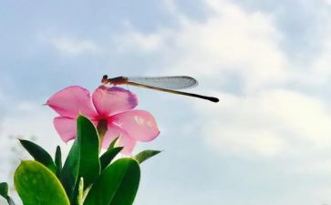 一天工作计划6篇
