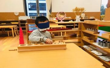 蒙氏教育幼儿园培训心得优秀6篇