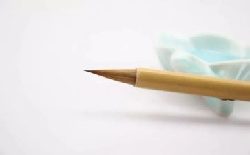 谁的青春不迷茫的演讲稿6篇