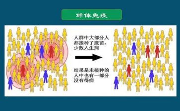 个人2023教师工作计划5篇