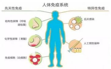 18计划免疫工作计划6篇