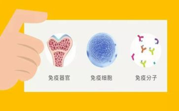 转正总结及心得体会8篇