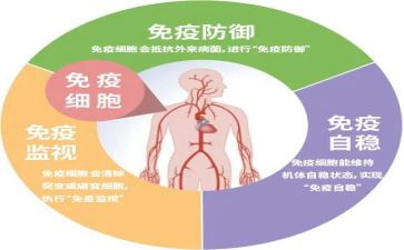 20230的我的作文参考8篇
