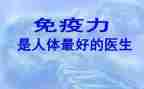 财务部门半年总结5篇