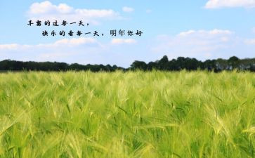 写给明年的自己的作文5篇