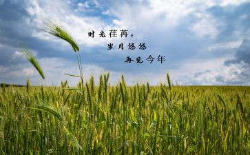 2023证券工作计划8篇
