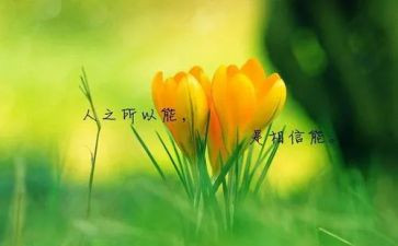 名人传的心得体会800字5篇