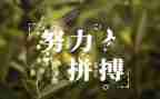 中外名人故事读后感5篇