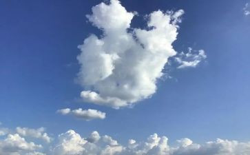有关于明天的作文7篇