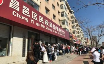 县民政局工作总结8篇