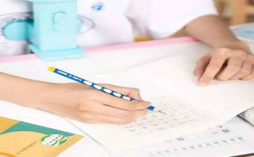 2023中班年教学计划模板5篇