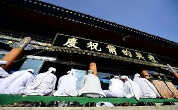 读穆斯林的葬礼读后感参考5篇