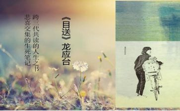 目送之目送的读后感通用6篇
