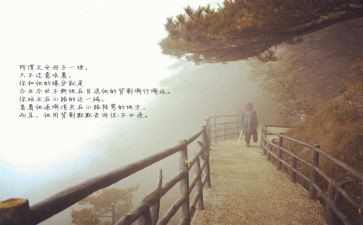 目送之目送的读后感精选7篇