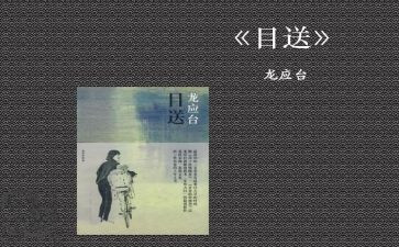 目送之目送的读后感参考8篇