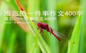 令我难忘的一件事作文5篇