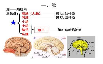 修电脑作文5篇