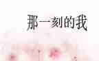 个人出纳的工作总结6篇
