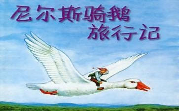 2022年数学新教材培训心得体会6篇