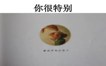 2023中班个人工作总结7篇