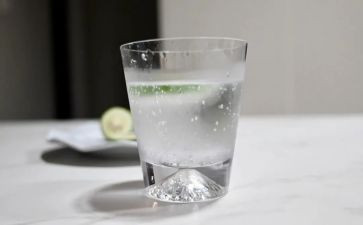 柠檬碟读后感7篇