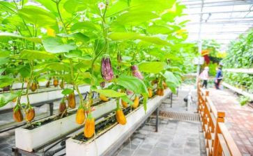 2023年优秀员工事迹材料5篇