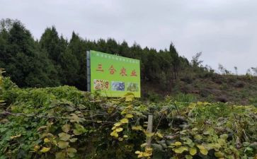 农产品市场调查报告5篇