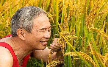 农夫与河的读后感6篇