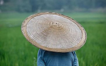 农夫和熊的故事读后感6篇