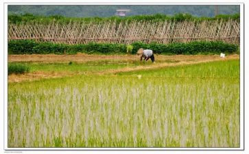 中医药公司年终总结范文8篇