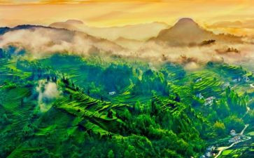 中国传统汉字文化作文6篇