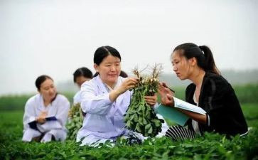 农学类毕业实习报告6篇