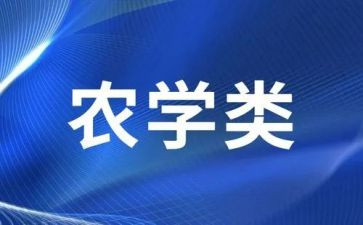 世界500强工作总结8篇