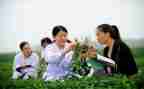 农学类毕业实习报告6篇