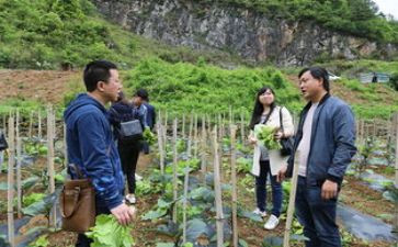 七年级下册班主任工作计划2023模板6篇