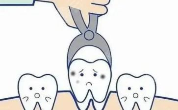 2023年冬奥的心得体会参考6篇