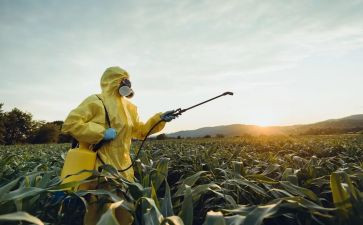 2022国培教师研修总结8篇