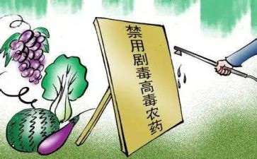 2023年中班个人工作计划模板5篇