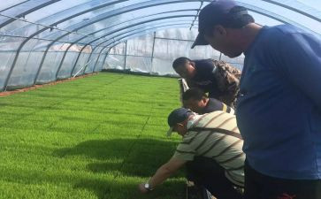 农艺助理师工作总结6篇