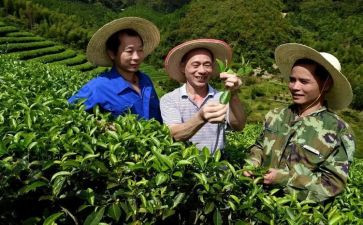 一月工作总结幼儿园5篇